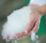home-by-tempur_filling_stuffing-in-cupped-hands_angled-left_dsc5343_1687522914-3b8c304c4260cbc82277b5bfa8e3eff1.jpg