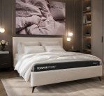 novera_1787387786-ee5dee6666cc2d02cf1e77da4eedd524.png