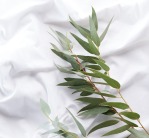 sabana-bajera-protectora-nature-tencel-tex-blanca-gama-natural-06_1731923773-fb4ca6833162a0073c5e9cfdfee987bd.jpg